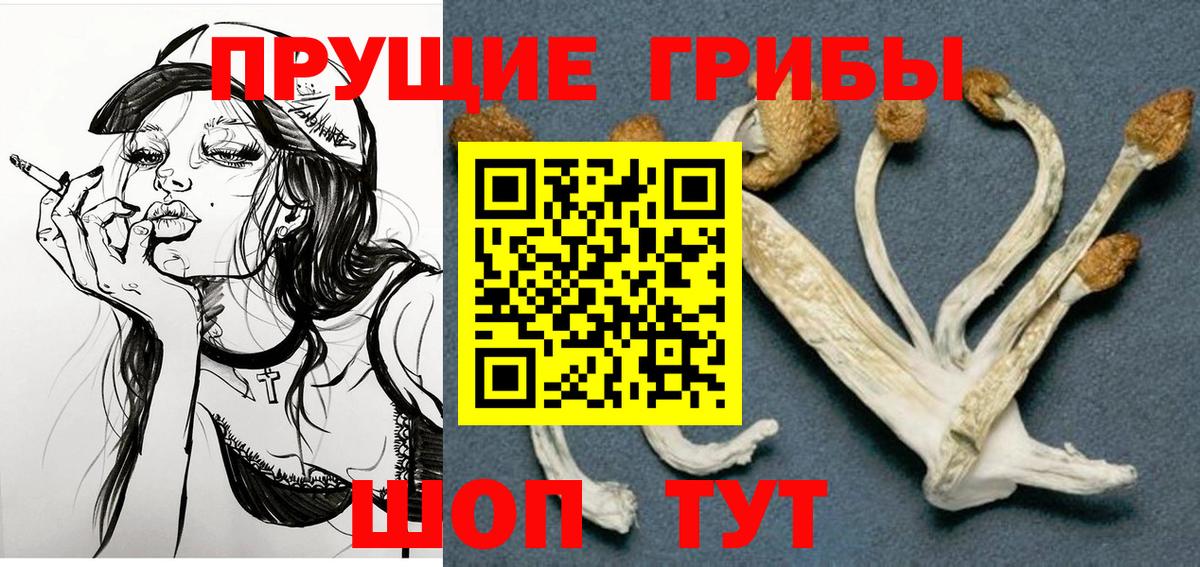 Коряжма  Галлюциногенные грибы мицелий  Вход с VPN  Галлюциногенные грибы Cubensis 